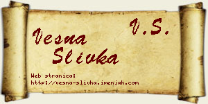 Vesna Slivka vizit kartica